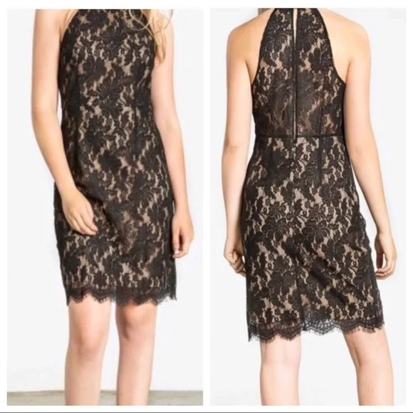 knee length dresses for ladies Simkhai Joy Lace Mini Dress | Black | Size 6